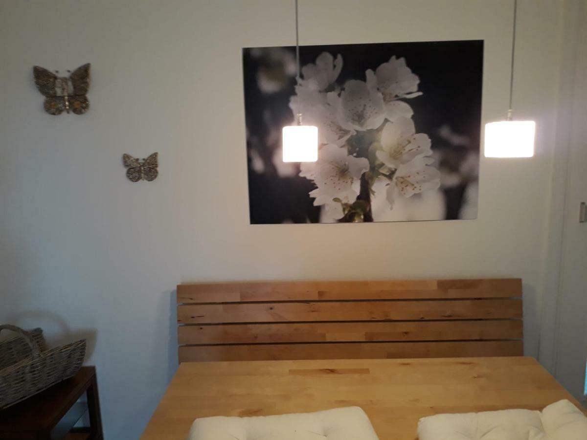 Appartment "Am Hasenanger" 施特罗布尔 外观 照片